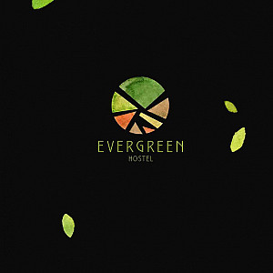 Наше портфолио - Логотип и фирменный стиль для "Evergreen"