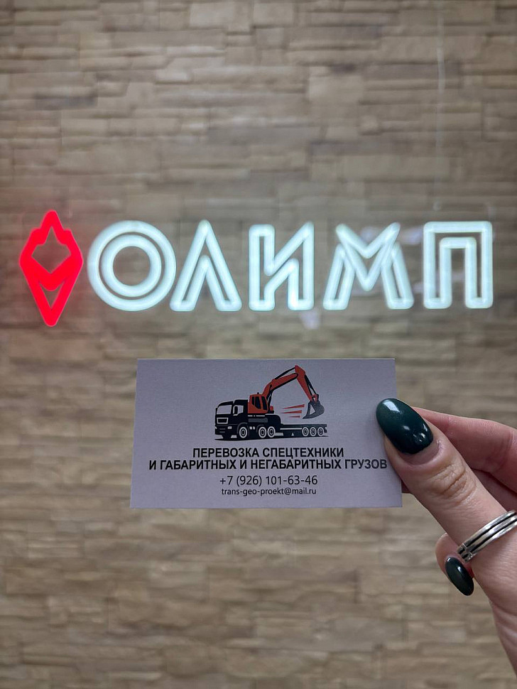 Наше портфолио - Визитки для компании "Трансгеопроект"